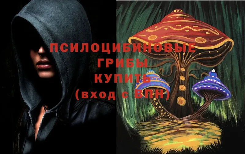 hydra вход  Нестеровская  Галлюциногенные грибы Psilocybine cubensis 